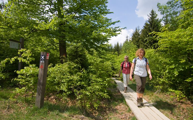 Zur Hängebrücke